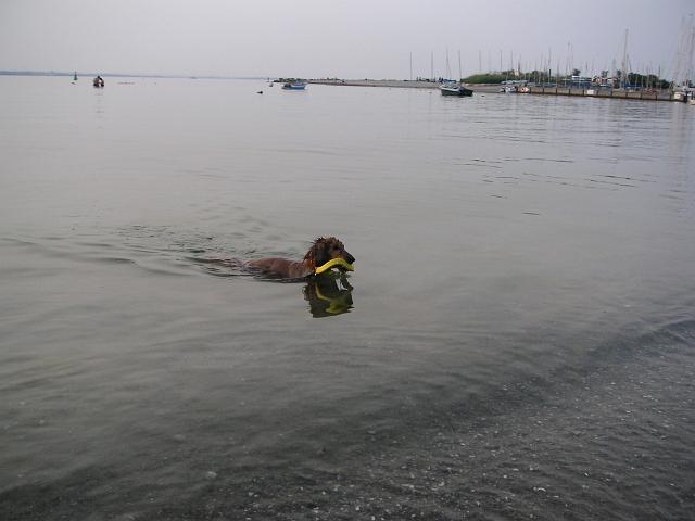 Bild 033.jpg